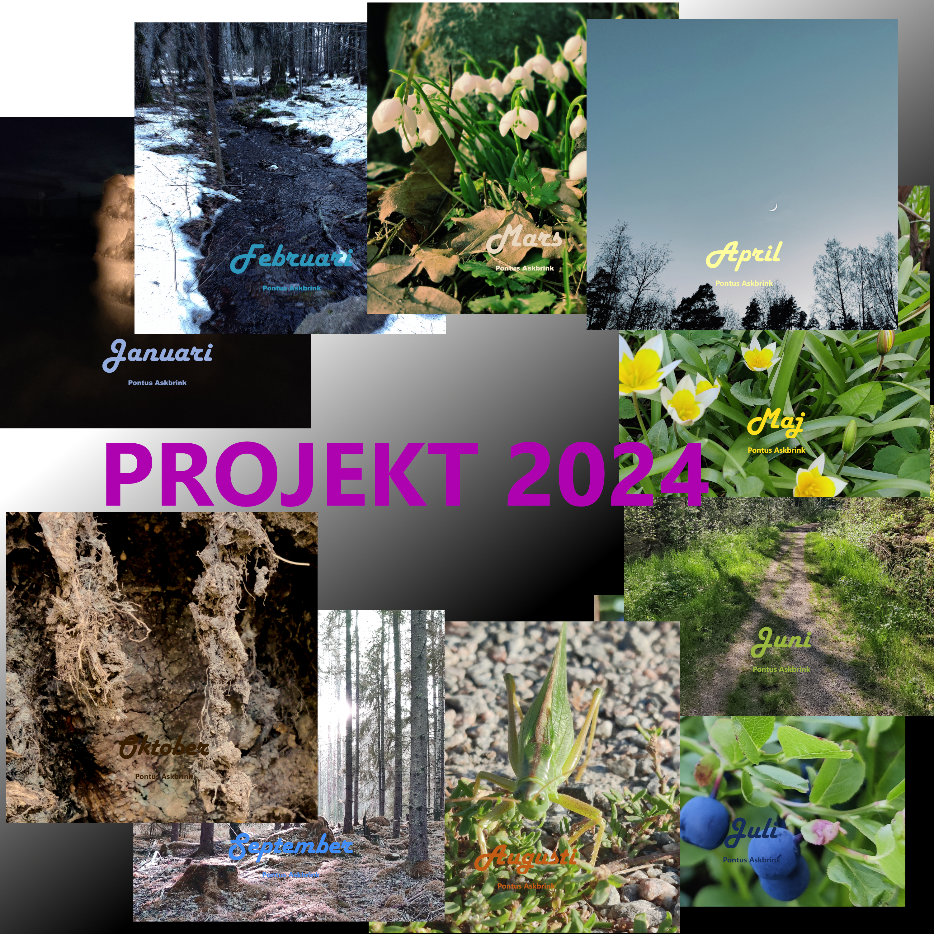 2024 Project